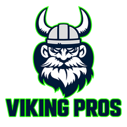 Viking Pro Solutions logo